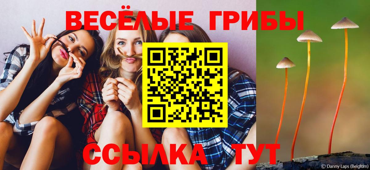 Галлюциногенные грибы GOLDEN TEACHER  Псилоцибиновые грибы прущие грибы  Кинель  Вход с VPN 